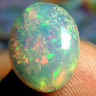 4.  15ct STUNNING Broad Flash Ethiopian Welo Opal with Rare Coral Fossil VIDEO 4