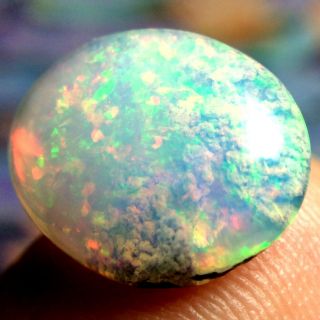 4.  15ct STUNNING Broad Flash Ethiopian Welo Opal with Rare Coral Fossil VIDEO 5