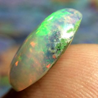 4.  15ct STUNNING Broad Flash Ethiopian Welo Opal with Rare Coral Fossil VIDEO 6