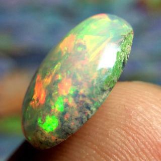 4.  15ct STUNNING Broad Flash Ethiopian Welo Opal with Rare Coral Fossil VIDEO 7