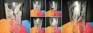 Vtg Frank Oda Hawaiian Floral Etched Glassware 6pc.  Set Collectable