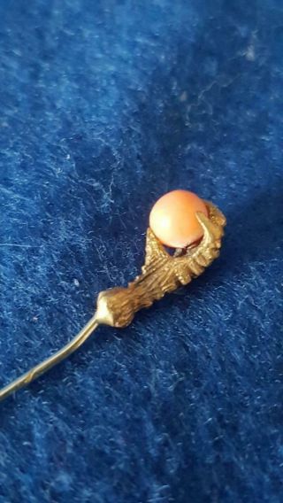 Antique 19th Century 9ct Solid Gold & Coral Eagle Claw Stock/cravat Pin