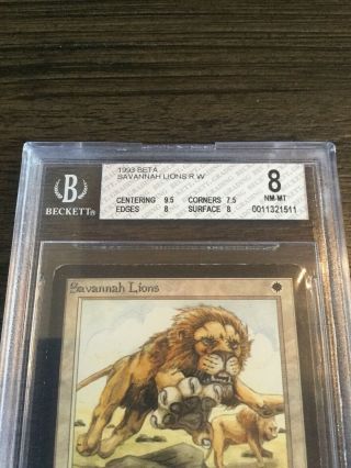 1993 Magic The Gathering MTG Beta Savannah Lions R W BGS 8 NM - MT Beckett 2