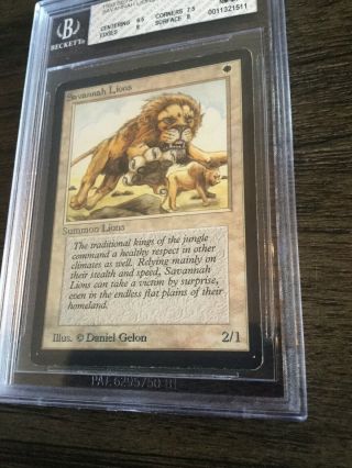 1993 Magic The Gathering MTG Beta Savannah Lions R W BGS 8 NM - MT Beckett 4