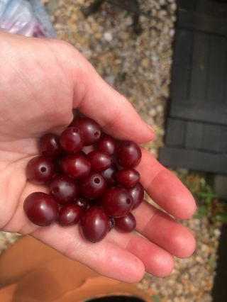 Loose Cherry Amber Bakelite Beads For Re - Thread.  Barrel Shape.  34 Grams