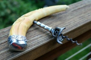 Rare 1890 ' s BOAR ' S TUSK CORKSCREW Semi - Nude Carving and STERLING Silver MOUNT 2