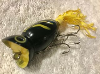 Fishing Lure Fred Arbogast Hula Popper In Very Rare Color Tackle Box Crank Bait 5