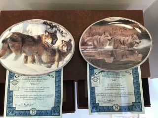 Vintage Bradford Exchange 12 Wolf Plates Complete Set Sentinels Of The Season