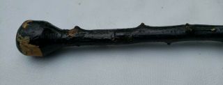 Vintage Irish Blackthorn Shillelagh Walking Hiking Stick Cane 37 "