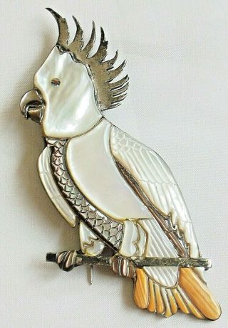 Huge Vintage Mother Of Pearl Sterling Silver Male Cockatiel Pin Brooch Pendant