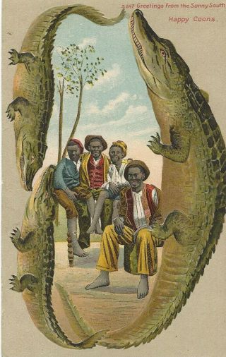 Vintage Black Americana Postcard Rare Alligator Border - - " No.  S647 Happy Coons "