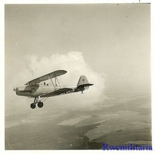 None Better Aerial View Of Luftwaffe Gotha Go.  145 Trainer Plane In Flight