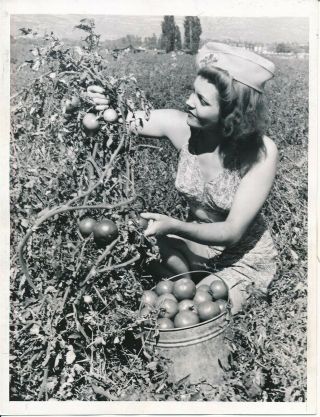 1942 Ww2 Press Photo Women 