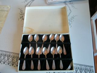 12 Vintage J.  W.  Robbins Sterling Silver Miniature Spoons