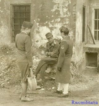 Port.  Photo: Rare Female Uniformed Helferin Chat W/ Luftwaffe Soldier On Street