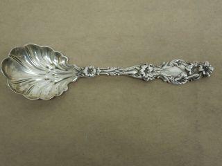 Vintage Whiting Manufacturing Co.  Sterling Silver Sugar Spoon Lily Pattern 1902