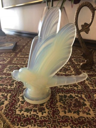 Vintage Large Signed Opalescent Sabino Art Glass Dragonfly Figurine