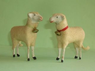 2 Vintage German Putz Nativity Wool Sheep Lambs Stick Legs 3 - 1/2 " Tall