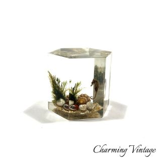 Vintage Hexagon Lucite Sea Horse Shell Miniature Aquarium Paperweight Sculpture