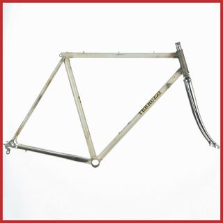 Terruzzi Losa Columbus Sl Steel Frame Vintage Lugs Campagnolo Frameset Road Bike