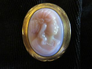 Antique Victorian Molded Pink Glass Cameo 1800 