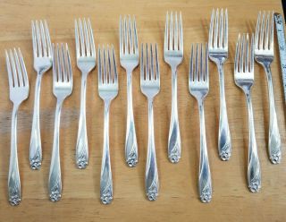 Sett Of 12 Mid Century Vintage 1950 Daffodil Silverplated " 7 1/2 " Dinner Forks