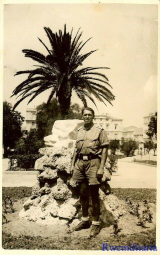 Port.  Photo: Rare German Afrika Korps Panzerman (15th Pz.  Div) At Benghazi,  Libya