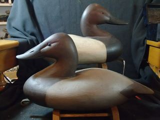 Pair Rigged Canvasback Decoys By R.  J.  " Bob " Brown Barnegat,  Nj