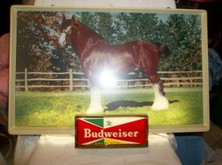 Vintage Budweiser King Of Beers Clydesdale Lighted Beer Sign