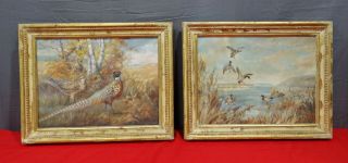 Vintage Illegibly Signed Oil Paintings Of Ducks And Pheasants