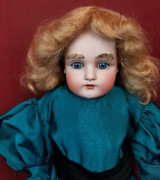 Antique German Kestner 195 Bisque Shoulder Head Doll Fur Eyebrows Cloth Body 20 "