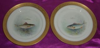 Vintage Lenox For Ovington Bros 6 Cabinet Hand Painted Fish Plates Gold Trim