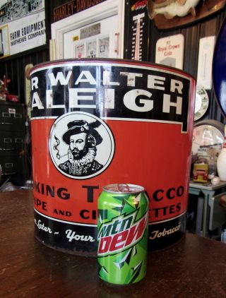 Vtg Rare Size Large 11.  5 " Tall X 12 " Round Sir Walter Raleigh Tobacco Can / Tin