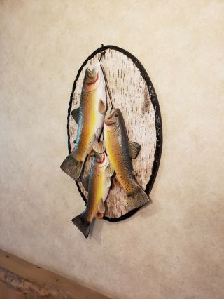 Yellowstone cutthroat trout wood carving fish mount taxidermy Casey Edwards 6