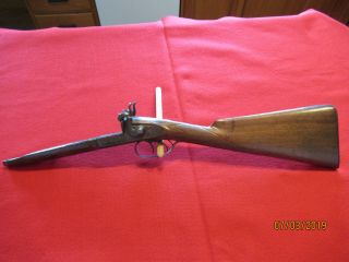 Vintage Black Powder Muzzle Loader Shotgun Stock With Percussion Locks