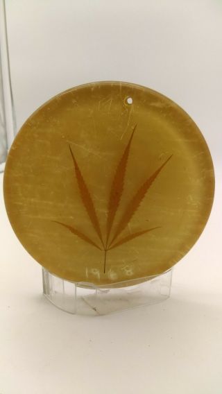 Vintage 1968 Handmade Encased Real Marijuana Pot Leaf Wall Hanging Art Piece Wow
