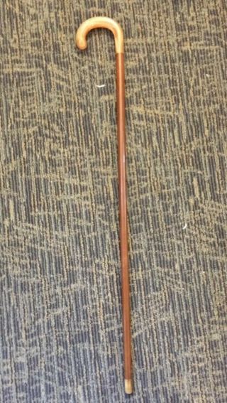 Vintage Antique Rhinehorn Crook Handle Horn Tip Malacca Wood Walking Stick Cane