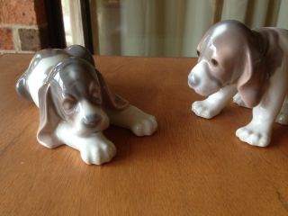 Lladro Cocker Spaniels.  Pair.  Collectable,  Vintage,  Retired.  Made In Spain