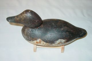 Vintage Mason Tack Eye Goldeneye Hen Duck Decoy