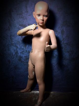Darling Vintage 50s 60s Mannequin Toddler Boy Or Girl Child Kid Cherub Rare
