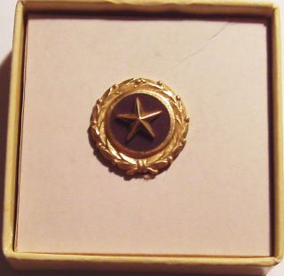 Vintage Gold Star Mother 1947 " Act Of Congress " Pin Back