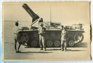 German Wwii Archive Photo: Stug Iii Assault Gun,  African Campaign