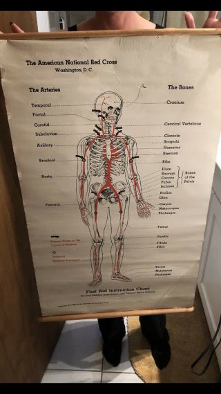 First Aid Instruction Chart Skeleton Red Cross Anatomy Poster Sign Horror Vtg