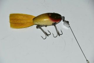 Creek Chub Dinger Golden Shiner NO.  5604 Perfect Antique 2