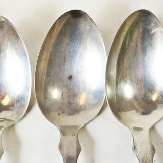 Jaccard & Co St.  Louis MO 6 Southern Fiddle Coin Silver Tea Spoons,  No Mono 4