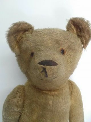 Vintage Mohair Humpback Jointed Teddy Bear W/ Glass Eyes Possibly Steiff 2