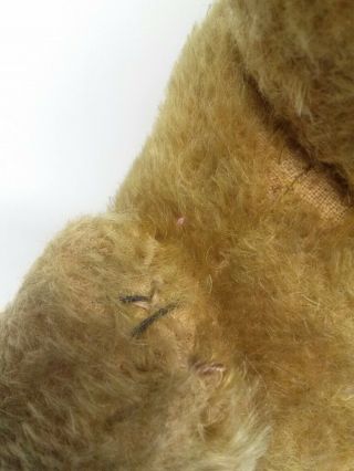 Vintage Mohair Humpback Jointed Teddy Bear W/ Glass Eyes Possibly Steiff 7