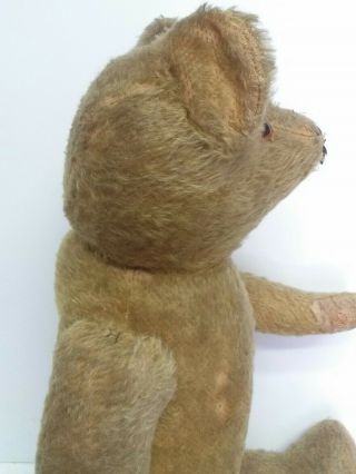 Vintage Mohair Humpback Jointed Teddy Bear W/ Glass Eyes Possibly Steiff 8