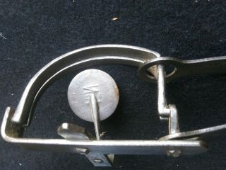 Vintage Trap Newhouse No.  1 With Cast Pan 8