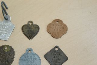 12 Antique Vintage Dog License Tags - 1915 and up - One War Time Cardboard 3